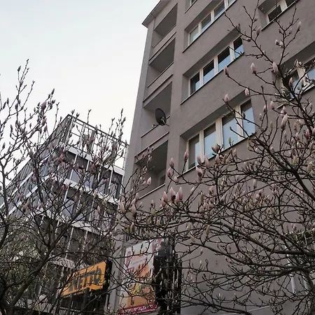 Kghn Tkacka 28 شقة