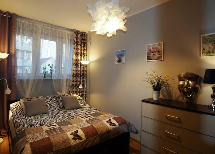 Kghn Tkacka 28 شتشيتسين