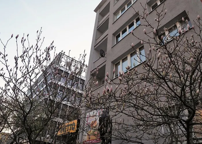 Kghn Tkacka 28 شقة